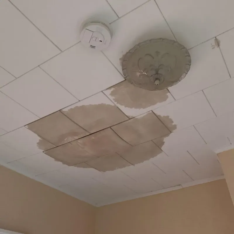 Ceiling Water Damage Repair in Swain County, NC