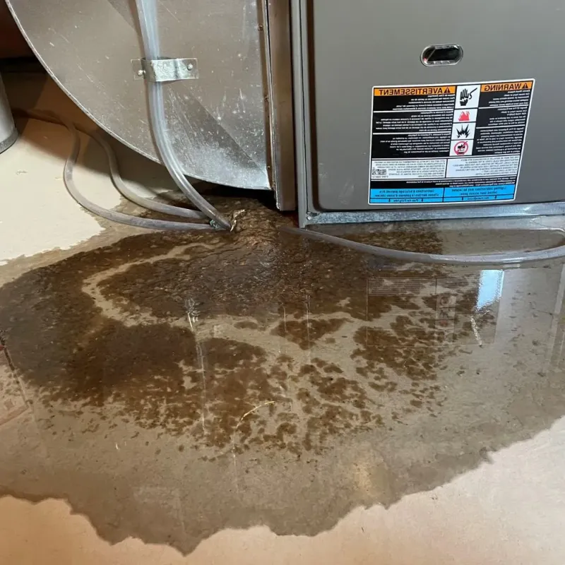 Pipe Burst and Leak Restoration in Swain County, NC