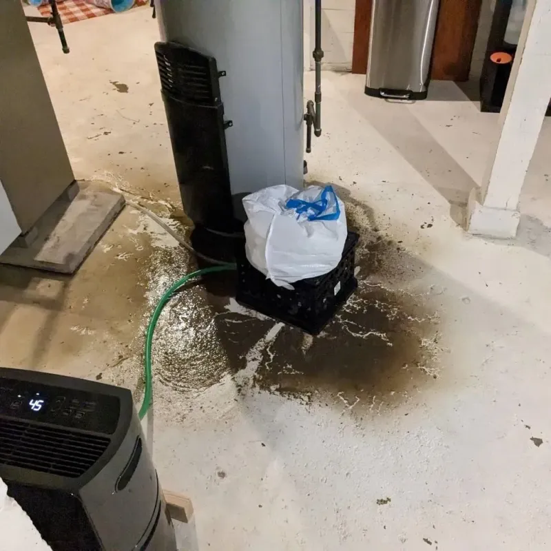 Sewage Backup Cleanup Service in Swain County, NC